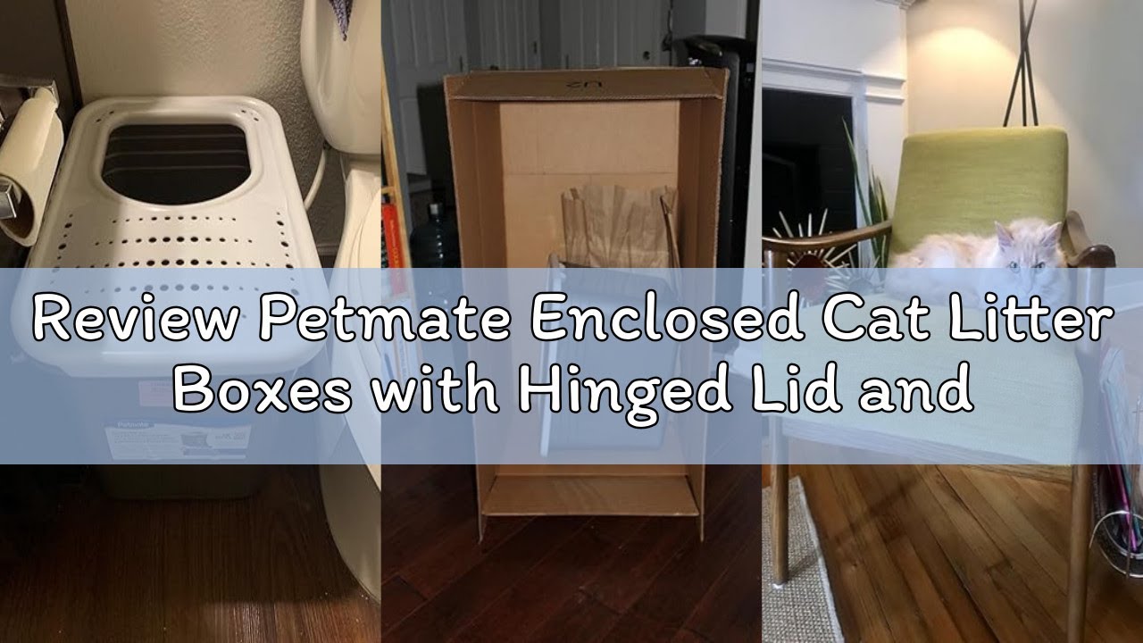 Review Petmate Enclosed Cat Litter Boxes with Hinged Lid and Wide Top Entry Opening, Cat Litter Box