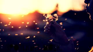 Celebrity KYLE- Keep it real ♥ Wealth