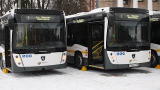картинка: Жуковский получил новые автобусы