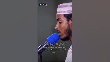 سورة يوسف ٨٠-٨٣ الشيخ عفيف محمد تاج