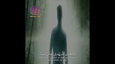 #تلاوات #ماهر_المعيقلي #ياسر_الدوسري #ناصر_القطامي #السديس #خالد_الغامدي(68)
