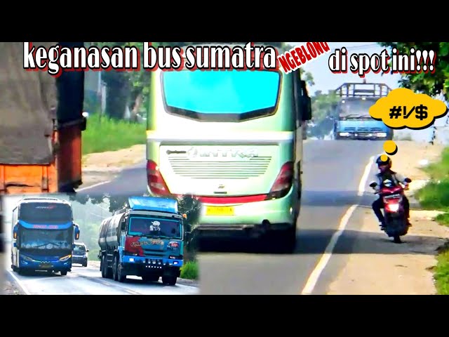 Kegarangan Sopir Bus Sumatra Di Jam Mepet class=