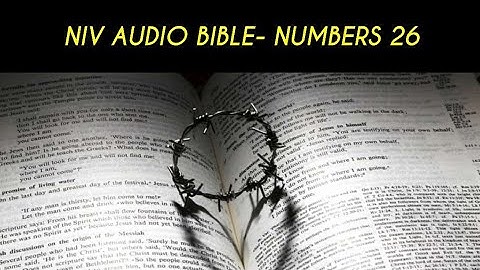 NUMBERS 26 NIV AUDIO BIBLE (with text)