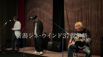 【予告 新潟アンコール上映版】映画『犬ころたちの唄』