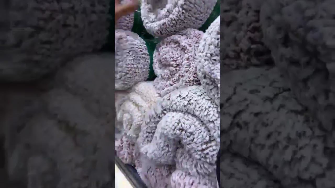 بضاعة  عند الزغبي للمفروشات  من محل بوعروة  سطيف 