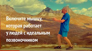 Включите мышцу, которая работает у людей с идеальным позвоночником 👍