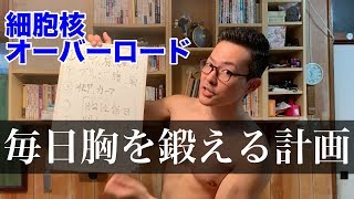 動画 細胞核オーバーロード実践編 低強度で行う胸の筋トレ 腕立て伏せ 新作ゲームアプリ攻略動画まとめ ゲーム攻略太郎