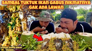 OLAHAN IKAN GABUS SAMBAL TUKTUK KHAS BATAK BIKIN KETAGIHAN