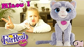 A Retrouver Dans Notre Catalogue Jouet Daisy Mon Chat Joueur Fur Real Frends Youtube A Retrouver Dans Notre Catalogue Jouet Daisy Mon Chat Joueur Fur Real Frends Youtube
