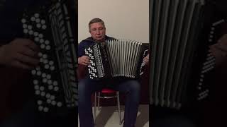 картинка: СТАРЫЙ КЛЕН