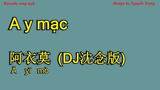 Karaoke (SC) - A y mạc - 阿衣莫 DJ沈念版 - a yi mo 阿吉太组合