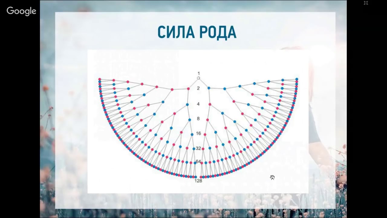 Схема рода человека