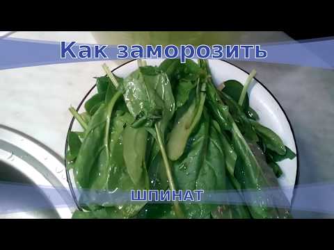 Как заморозить шпинат