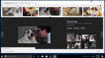 Insert a GIF into Scratch Project