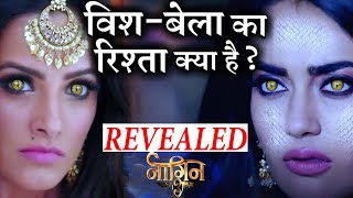 naagin 3 shocking twist vish belas secret motive revealed