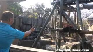 .Erbros92473Godess-Ebony-Teen-Arrives-For-Job-Interveiw.html?Wmid324&Sid0