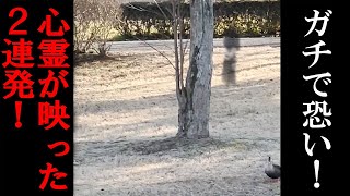 【投稿心霊映像】ガチで恐い!心霊が映った!2連発