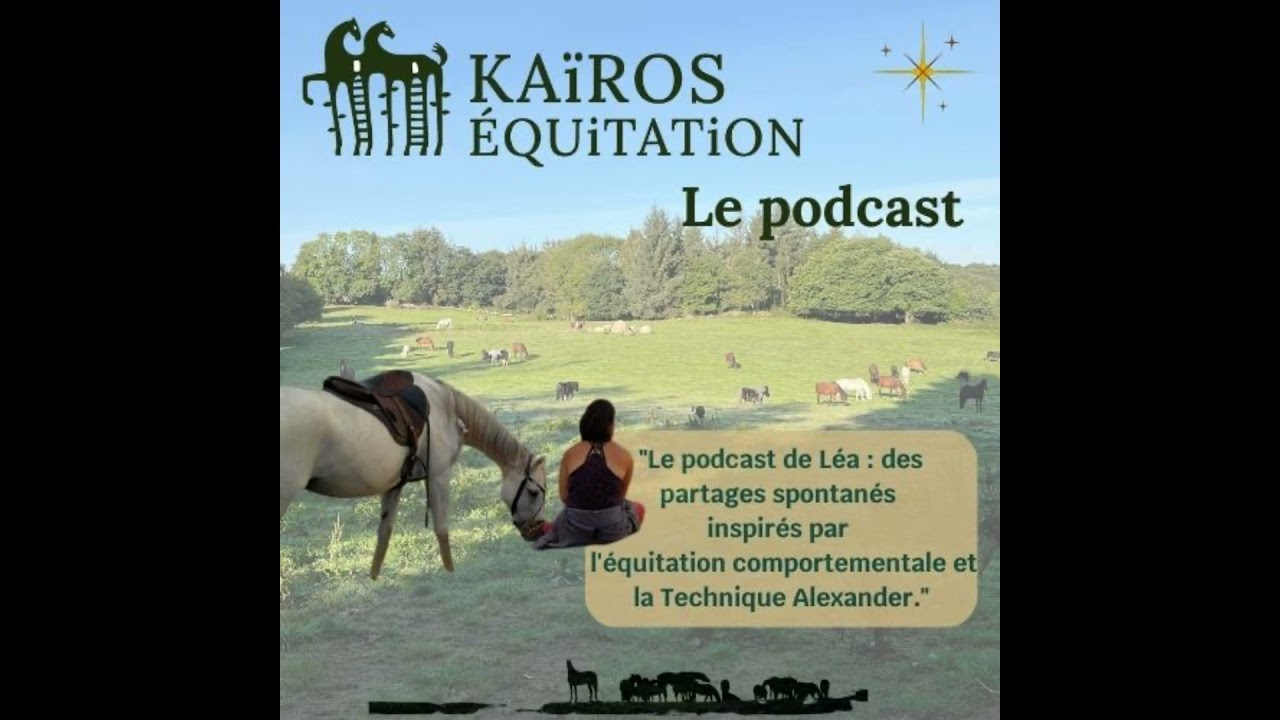 Sanction VS Punition / Sur-Réagir ou répondre