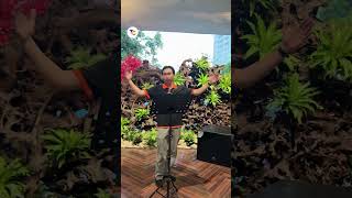 Khác biệt của DÀN KARAOKE CAO CẤP đặt tại nhà và khi mang lên SÂN KHẤU ACOUSTIC