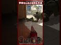 芋砂さんの心を折る方法ｗ [COD:MW2] #Shorts