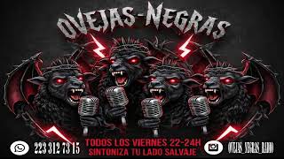 Ovejas Negras Programa 332