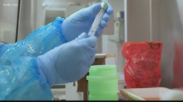 How scientists are tracking the omicron variant