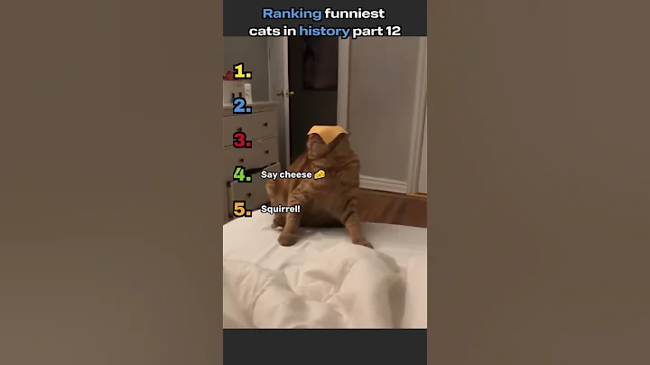 Video 11854531: cat fails compilation, funniest cats compilation, laugh cat