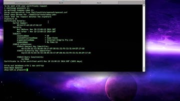 Create a fake CA for SiriProxy
