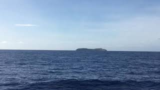 First Whale Sighting of the Season 10/08/2018