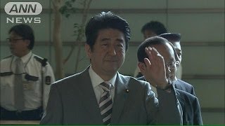 「集団的自衛権」明記　閣議決定の概要判明(14/06/17)