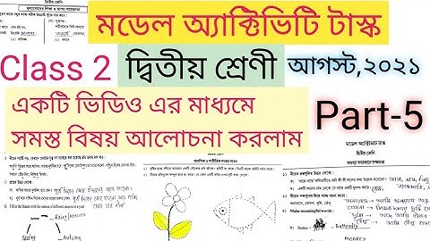 class 2 all subject model activity task part 5 || model activity task all subject class 2 part 5