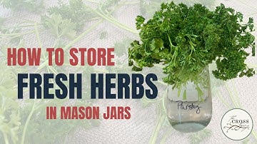 How to Have Fresh Herbs for 6-8 Weeks?? 😮 🌿