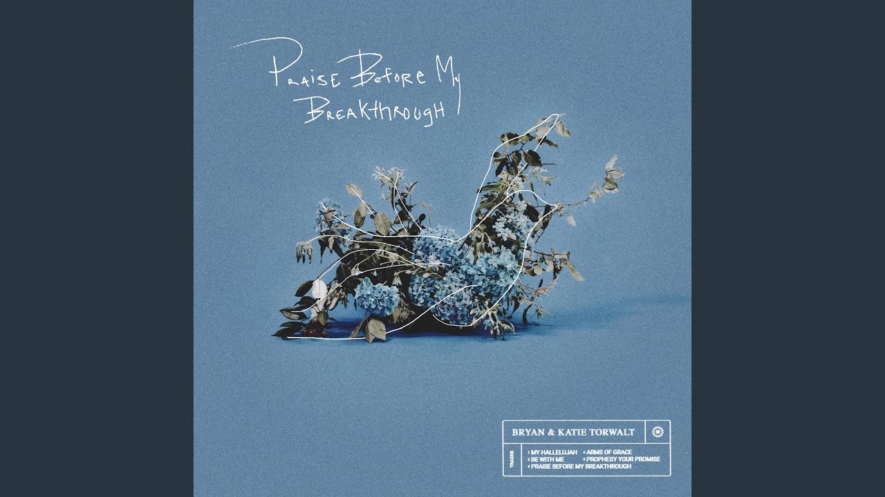 Prophesy Your Promise