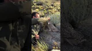 He Touched The Owls Beak And She Let Him