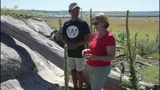 Indigenous culture - Sharon from HWT with Colin Ahoy jnr Anaiwan man from Amidale, NSW, Australia