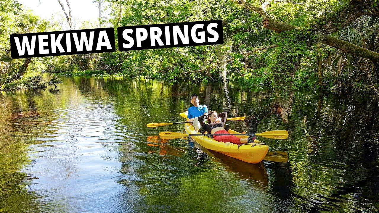 Wekiwa Springs Kayaking & Florida Camping YouTube