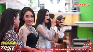 Download Lagu new mandala live in bandung rejo kenangan dalam rangka aqikoh dan kelulusan visuda anak bpk nurwahid MP3 Download Lagu new mandala live in bandung rejo kenangan dalam rangka aqikoh dan kelulusan visuda anak bpk nurwahid MP3