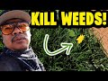 KILL WEEDS FAST! Full Products List!
