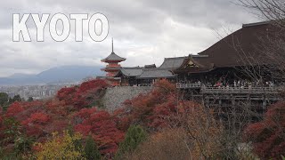 Kyotos Most Iconic Fall View Kiyomizu-Dera 清水寺 At Peak Autumn Foliage