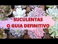 GUIA BÁSICO DE SUCULENTAS 🍀SUCULENTAS PERFEITAS PARA SEMPRE!!!