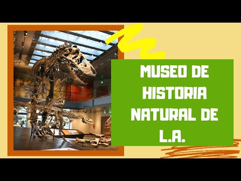 Video: Museo de Historia Natural del Condado de Los Ángeles