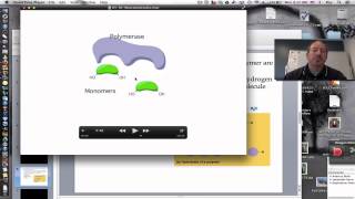 Macromolecules