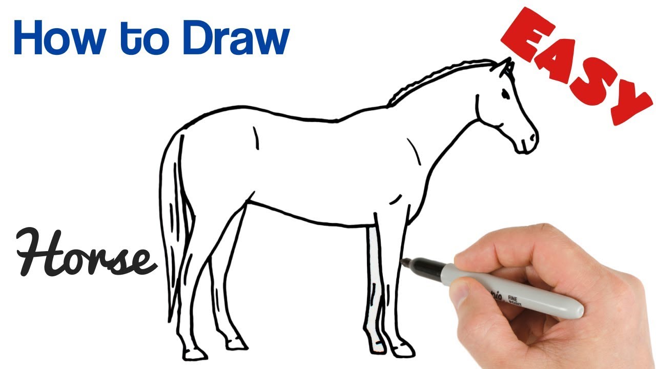 How to Draw a Horse Easy Step by Step Drawing YouTube