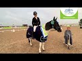 Petplan Novice Silver Freestyle Summer Area Festival Champion:Looby Marsden & EssentiallySmallChange