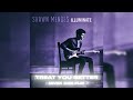 Shawn Mendes Treat You Better Nivek DNB Flip 