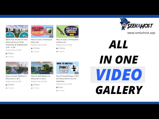 Install a Video Gallery To Your Website On WordPress | All In One Video Gallery class=