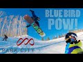 Park city canyons utah blue bird pow snowboarding dream