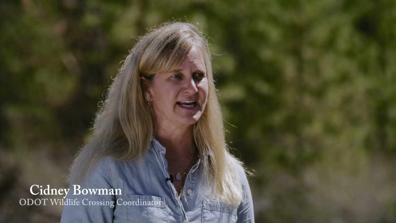 Oregon’s I 5 Wildlife Overcrossing Solution – ODOT