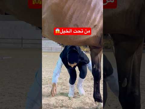 لا تجربوها اكسبلور السعودية خيل  رغد     ترند