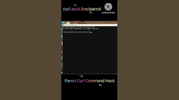 Try This Cool Command in CMD! || Watch a Dancing Parrot 🦜
